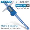 DIGITAL DEPTH GAUGE 0-300MM/0-12'