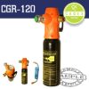 CADEX CO2 GAS TANK 600ML C/W REGULATOR & 175MM HOSE 1/4'F 0-11BAR