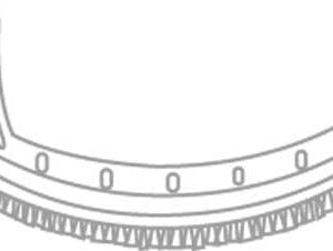 FESTOOL BRUSH SEGMENT BS-LHS 225 495166