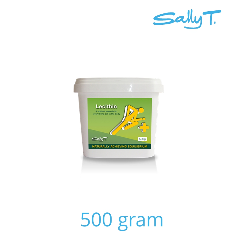 LECITHIN POWDER/GRANULES 500g Fallons