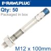 STAINLESS STEEL THROUGHBOLT M12X100 MM BOX OF 50