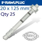 THROUGHBOLT 20X125X5MM ZINC FLAKE 25 -BOX