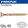 R-TS HARDENED SCREW 3.0X30MM X40 PER BAG