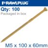 R-DSX SCREWS M5 X 100X60 GINGER RUSPERT X100-TUB