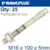 THROUGHBOLT M16X100X5MM X25 -BOX