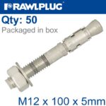 THROUGBOLT SS M12X100X5MM X50 -BOX