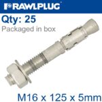 THROUGBOLT SS M16X125X5MM X25 -BOX