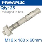 THROUGBOLT SS M16X180X60MM X25 -BOX