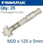 THROUGBOLT SS M20X125X5MM X25 -BOX