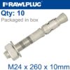 THROUGBOLT SS M24X260X10MM X10 -BOX