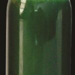 TATTOO BODY PAINT 100ML GREEN