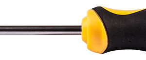SCREWDRIVER TORX T10 5 X 100MM